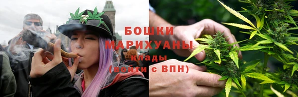 PSILOCYBIN Магас