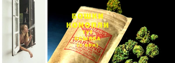 сатива Билибино