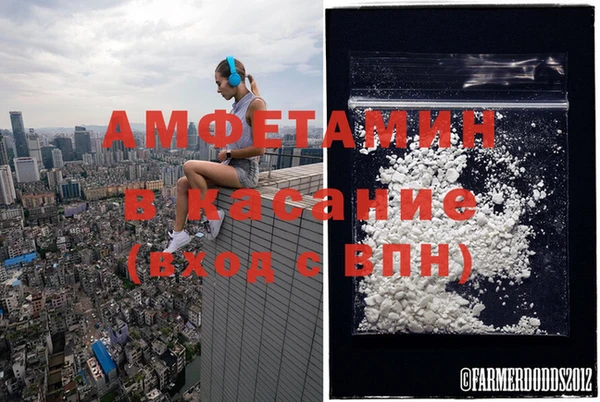шишки Лиски
