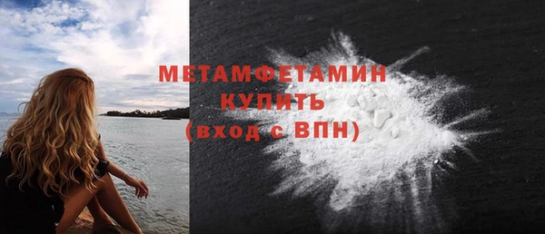 сатива Билибино